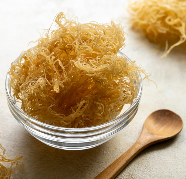 5 Reasons Sea Moss Gel Can Boost Your Muscle Growth