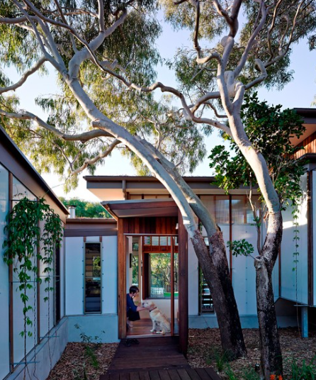 5 Tips for Choosing the Perfect Modern Home Design for Your Family