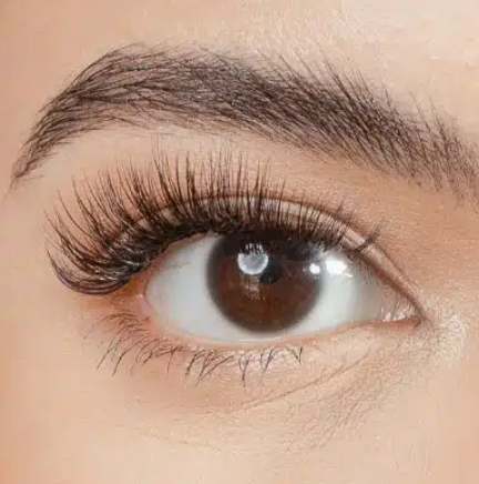 Doll Eye vs. Open Eye Eyelash Extensions: Understanding the Differences